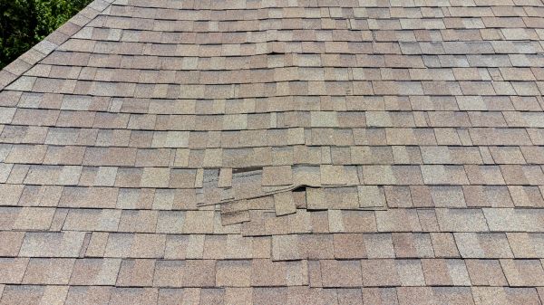Roof Leak Inspection in Springfield