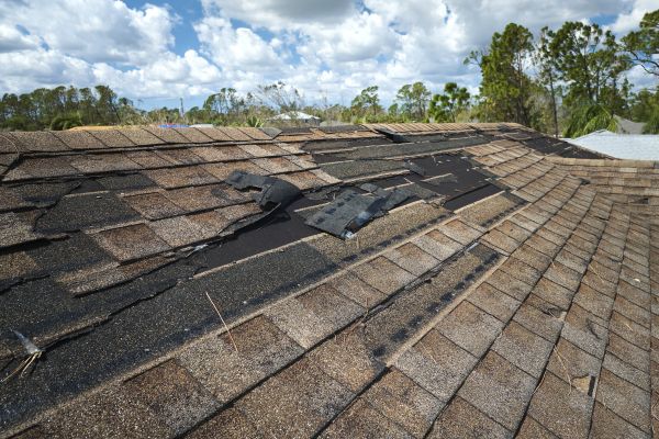 Roof Damage Repair in Springfield