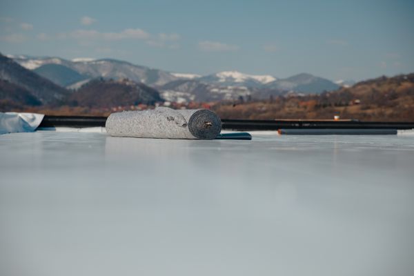 Tpo Roof Coating Service in Springfield