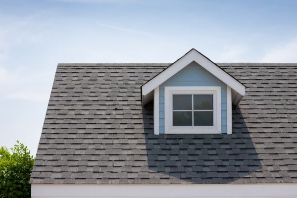 Roof Patching Service in Springfield