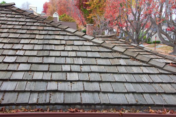 Wood Shingle Roof Installation in Springfield