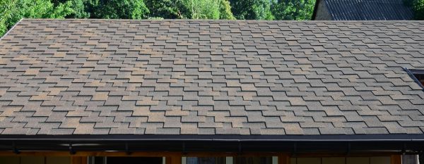 Slate Shingles Repair in Springfield