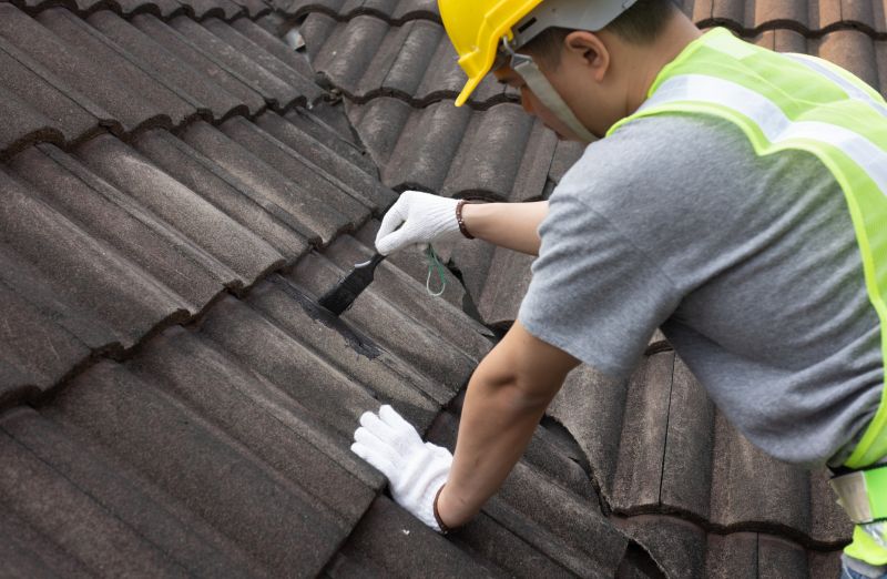 Professional Roof Repair